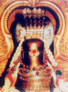 Vaidheeswaran Koil Moolavar